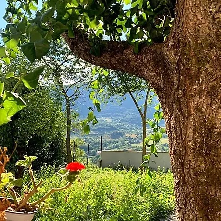 B&B Al San Francesco-3